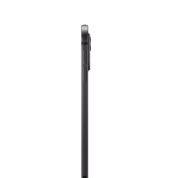 Apple iPad Pro 11 M4 256 ГБ, Wi-Fi, Gray (серый)