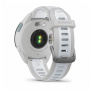 Фото Мультиспортивные часы Garmin ForeRunner 165 Music Mist Gray/Whitestone